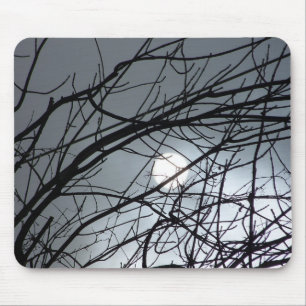 árvores contra o mousepad do sol