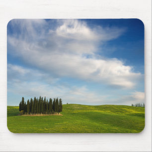 Árvores de Cypress no mousepad de Toscânia