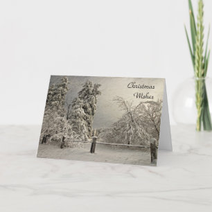 Árvores de Neve Wintry - Saudação e Cartão de Nota