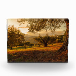 Árvores de outono de Colinas Sunset