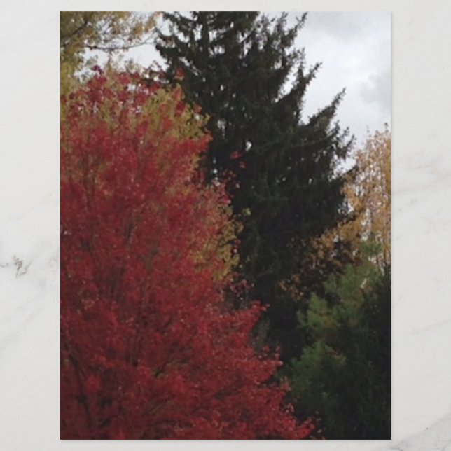 Árvores de outono em Livro Verde Amarelo Vermelho (Frente)