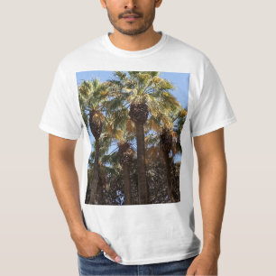 Árvores de Palma de Camisa T