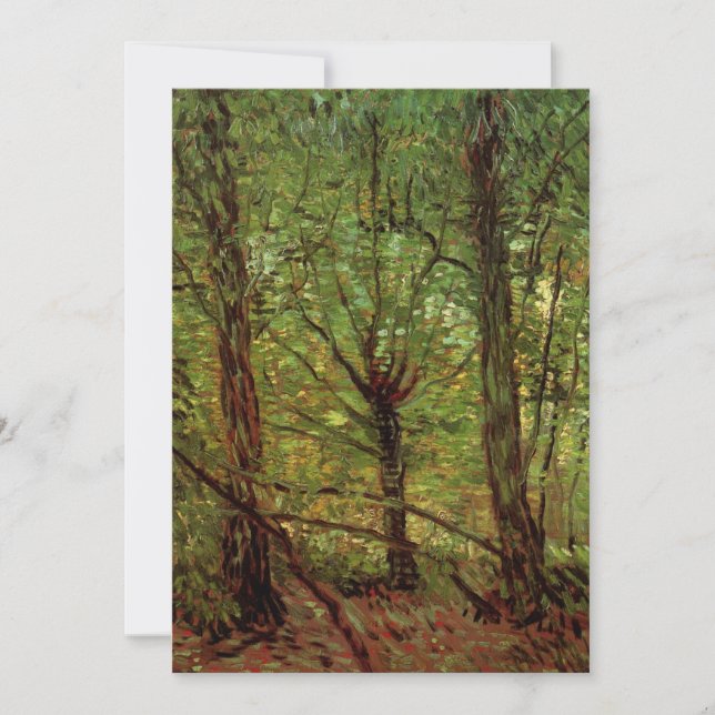 Árvores e Sub-bosque por Vincent van Gogh (Frente)