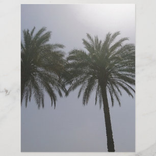 Árvores Egipto de Sun