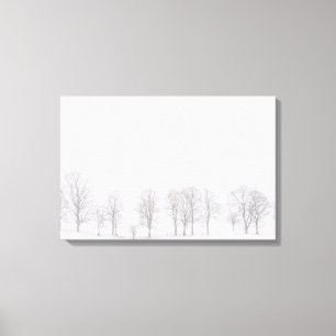 Árvores estéreis no inverno nas canvas brancas d