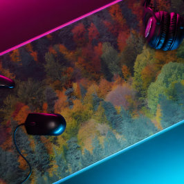 árvores florestais mistas