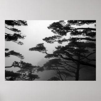 Árvores Místicas - Impressão