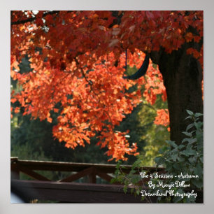 As 4 estações - Poster do outono