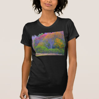 as árvores com abstrato colorem a camisa