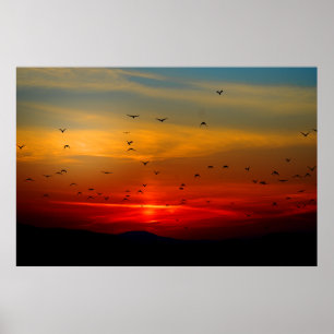 As aves voam para o Sol, Poster Extra Grande
