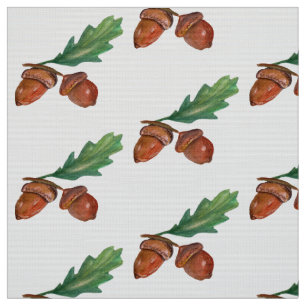 As bolotas, carvalho frutificam tecido da aguarela