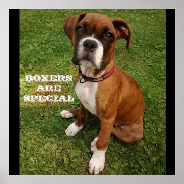 AS CAIXAS SÃO poster ESPECIAIS (Frente)