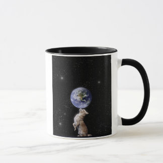 As chihuahuas ordenam a caneca do mundo