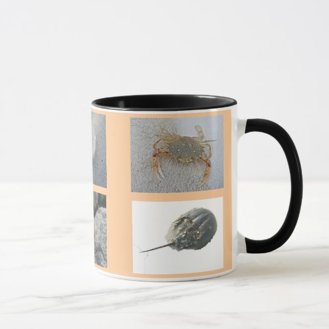 As criaturas na praia remendam a caneca (Direita)