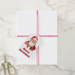As etiquetas de presentes do Papai Noel para o Nat