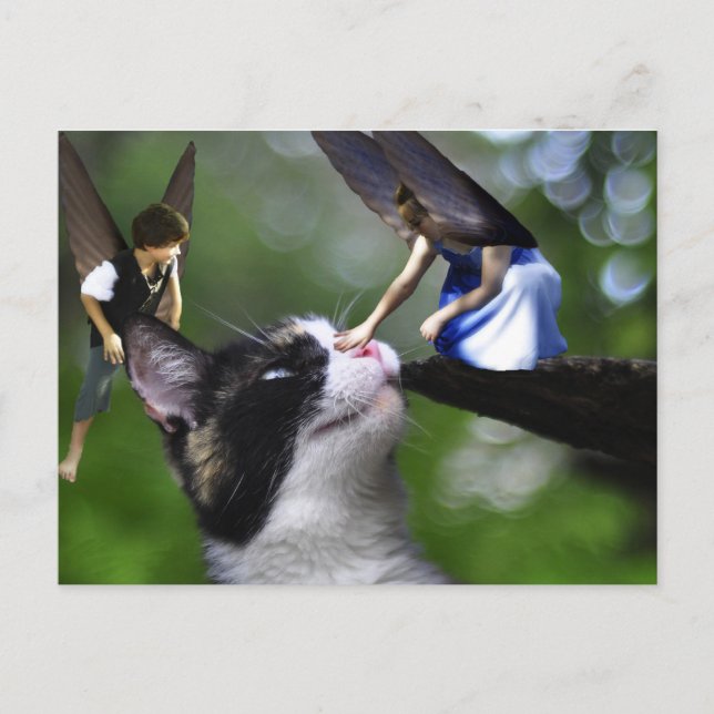 As Fairys e o Cartão de Posto Kitty Cat (Frente)