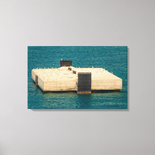 as gaivotas no impressão esticado das canvas