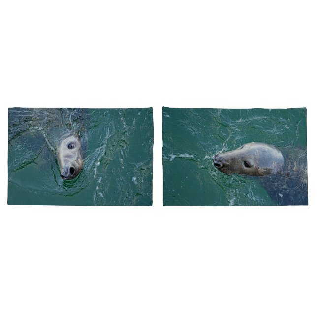 As melhores Cinzas de Chatham (Verso - conjunto)