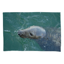 As melhores Cinzas de Chatham