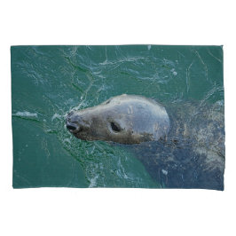 As melhores Cinzas de Chatham