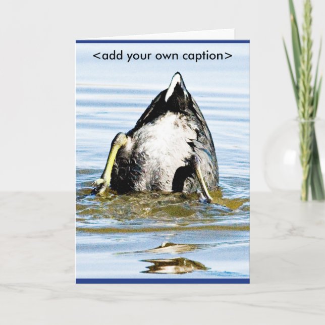 AS PARTES INFERIORES LEVANTAM O CARTÃO (Frente)