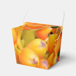 As Sementes De Flor Tiram A Caixa De Favor