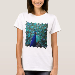 As senhoras bonito do pavão couberam o t-shirt