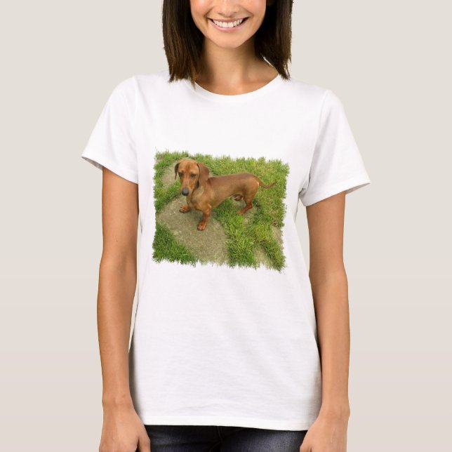 As senhoras de Daschund couberam o t-shirt (Frente)