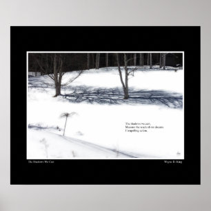 As Sombras Que Criamos O Poster Haiku