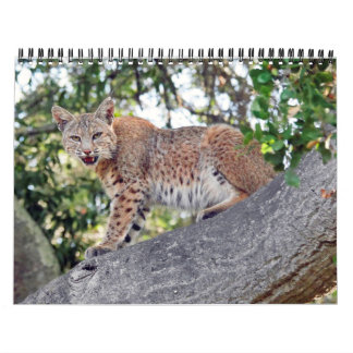 As vilas pássaro e calendário dos animais