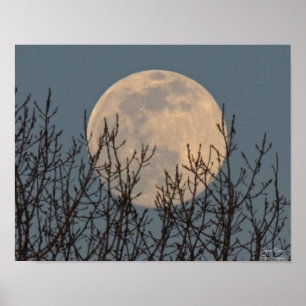 Ascensão da lua acima da Poster