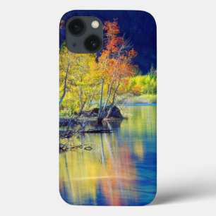Aspen tree in autumn reflecting in Grant Lake