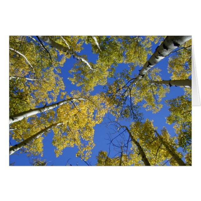 Aspende do Cartão Abaixo (Frente Horizontal)