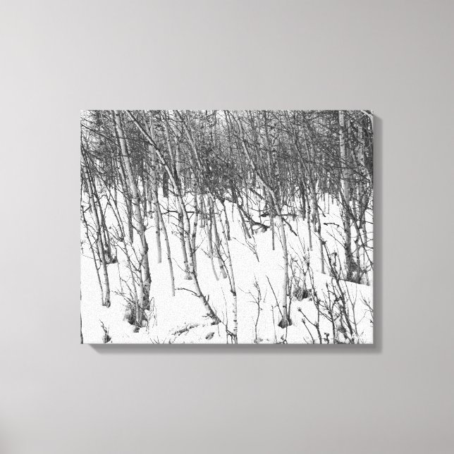Aspende na impressão de Canvas de de Neve (Frente)