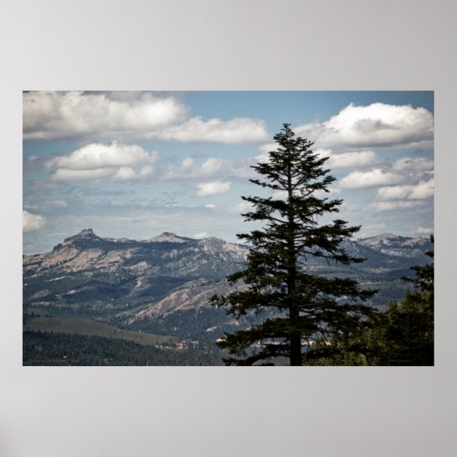 Assento com Impressão de visualização (Frente)