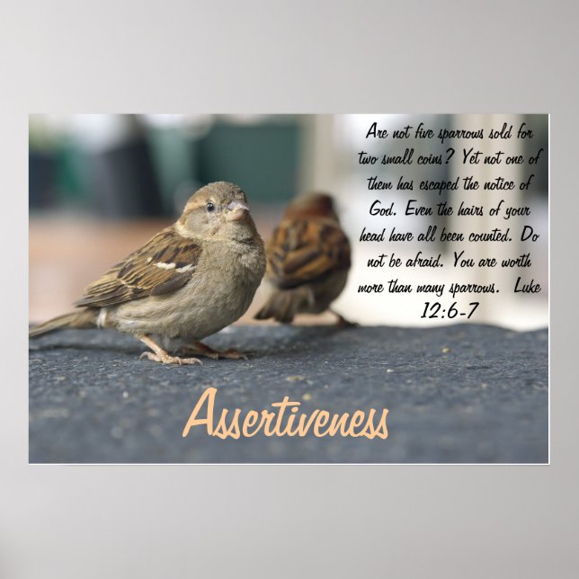 Assertiveness Poster - Sparrows Quote (Frente)