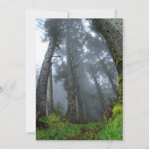 Assinatura: Matte 5" x 7", envelopes brancos padrã
