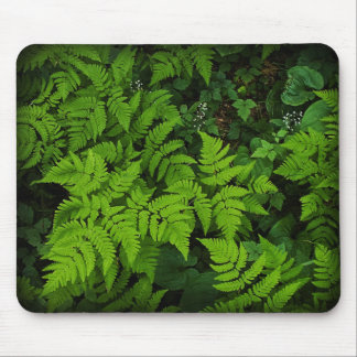 Assoalho Mousepad da floresta