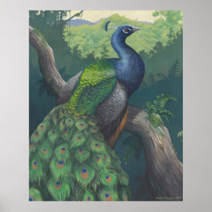 Assombração do impressão do pavão