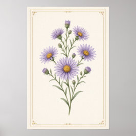 Aster, Arte de Impressão de Parede de Flor de Nasc