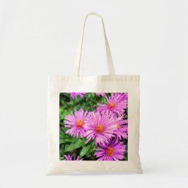 Aster Bolsa