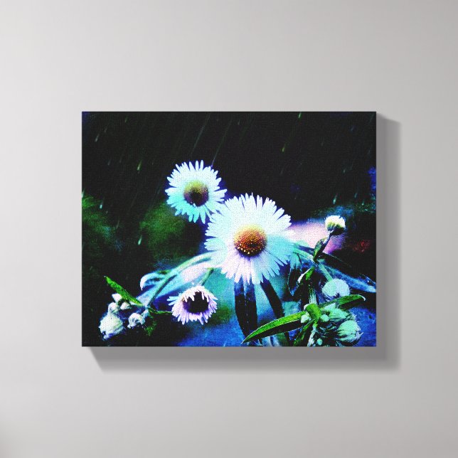 Asters Aglow Canvas Impressões (Frente)