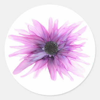 Astor roxo - todos adesivos em forma de formato...