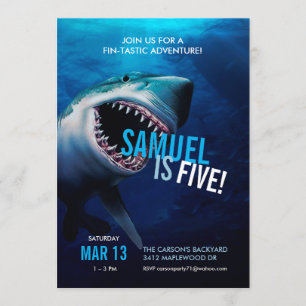 Ataque ao tubarão   Ontem aos Meninos do Convite O