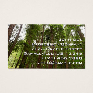 Até às sequóias I em Muir Woods National Monument