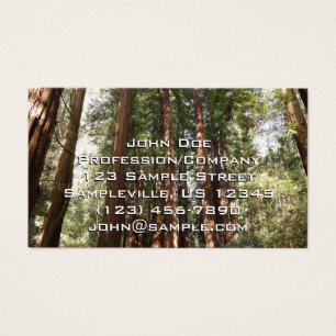 Até Redwoods II no Monumento Nacional Muir Woods