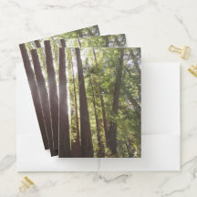 Até Sequoias de Manhã