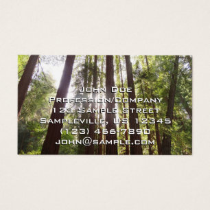 Até Sequoias de Manhã