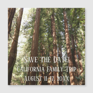 Até Sequoias II no Monumento Nacional de Muir Wood