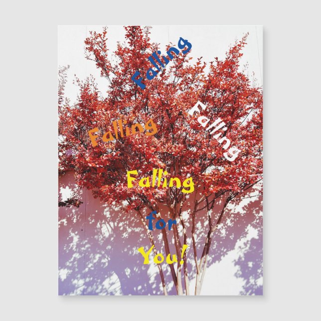 Atire Na Sua Foto Para Qualquer Cartão De Saudação (Frente)